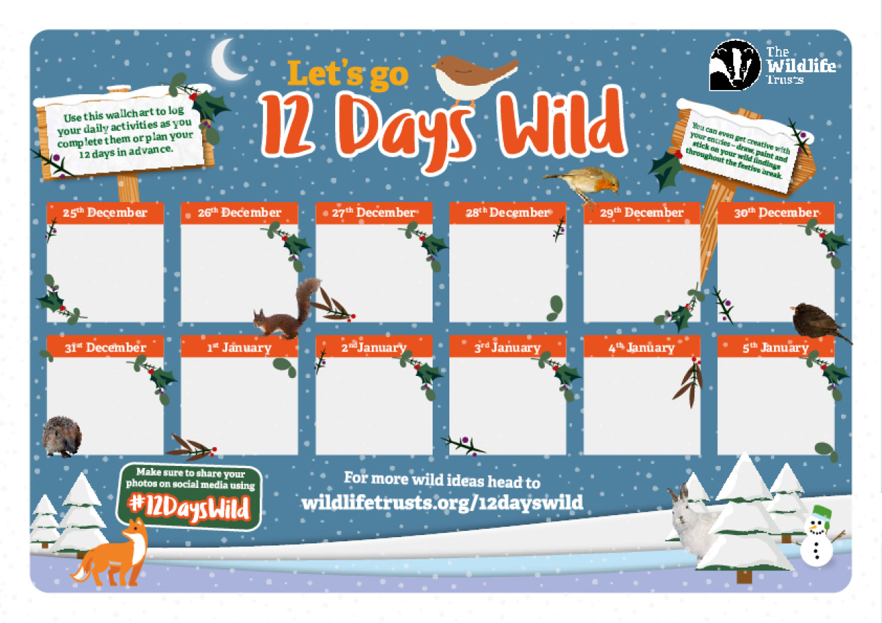 12 Days Wild Wallchart