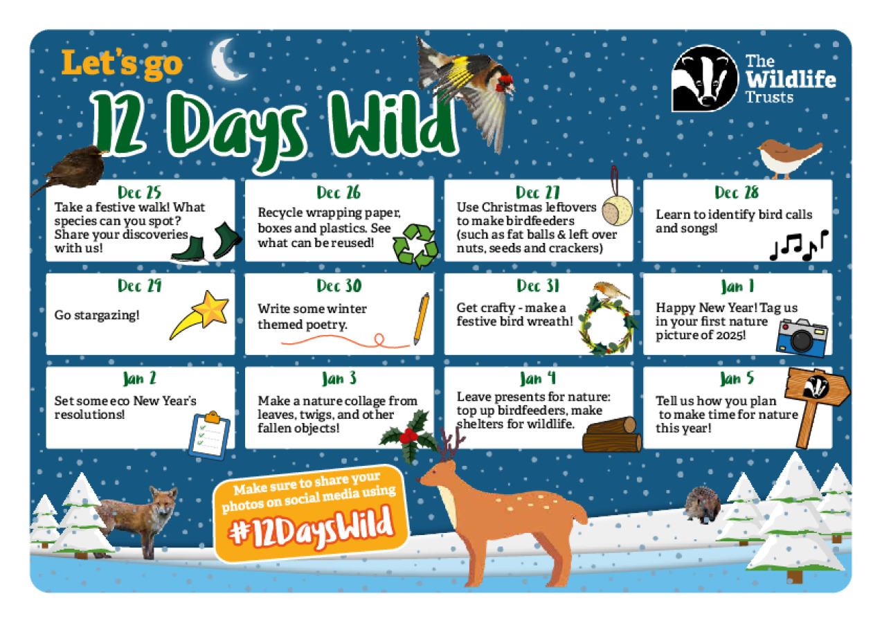 12 Days Wild Wild Ideas