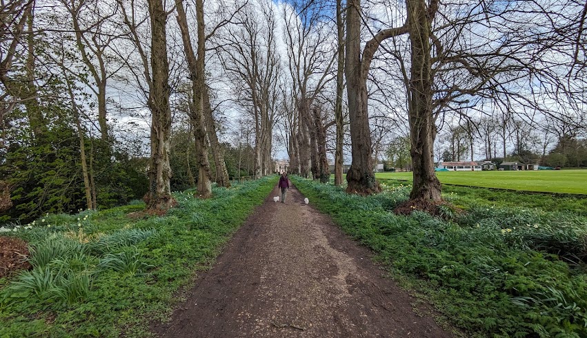 Wychwood Wild Garden